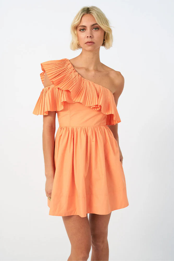 BLISS MINI DRESS Cozy Cowl Neck Mini Dress