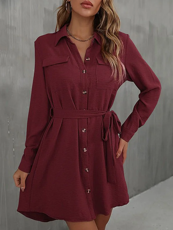 Women's Dresses Commuter Lapel Lace Solid Mini Dress Elegant Vintage Mini Dress